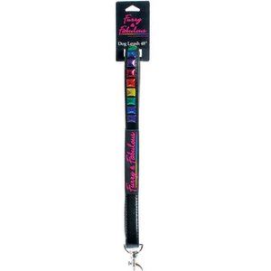 Rainbow Pyramid Dog Leash